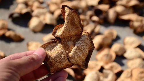 不同年份的陳皮怎么翻曬 2