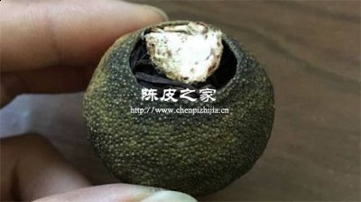 小青柑的價格很便宜是為什么