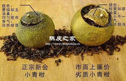 真假小青柑圖片對比示意圖