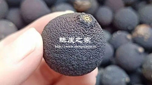 小柑胎的顏色為什么是黑色的 2