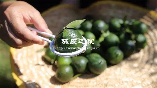 小青柑的品質如何鑒別