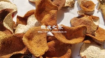 10年以上的陳皮曬太陽后還能喝嗎