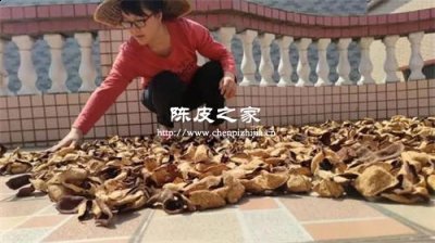 新會陳皮應該怎么翻曬