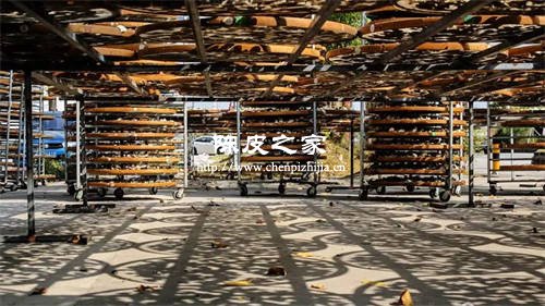 新會陳皮能陳多少年