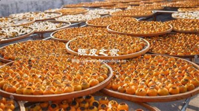 柑普茶生曬的好還是烘干的好