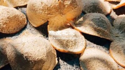 自己做的陳皮用每年晾曬嗎