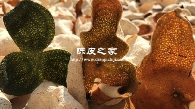 新會陳皮是按顏色分類的嗎