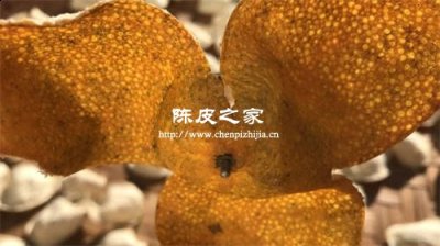 新會陳皮如何泡可以減少苦味