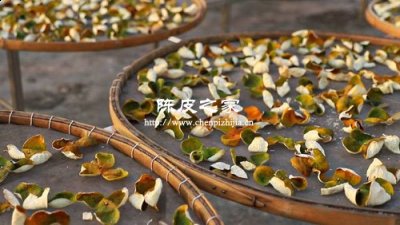 新會陳皮為什么要陳化3年