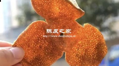 為什么市場上新會陳皮有的很貴有的很便宜