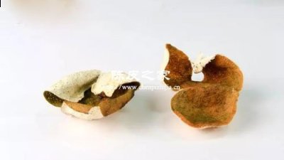 15年陳皮真是15年前曬好放到現在的么