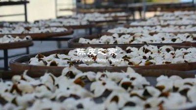 自己曬的陳皮三年了,需不需要偶爾拿出來曬一下