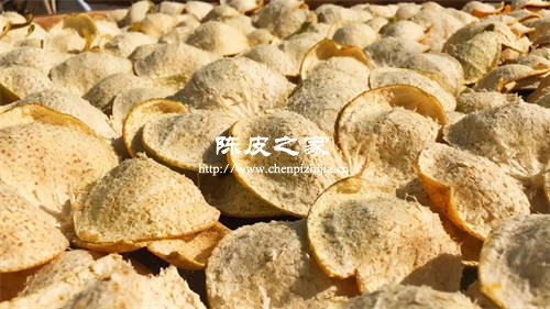 怎么分辨20年新會陳皮