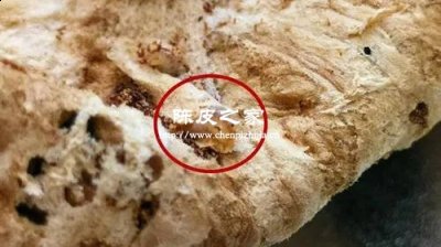 陳皮有蟲子了用什么方法處理