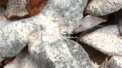 陳皮發(fā)霉有幾種情況 如何處理
