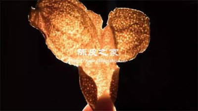 新會陳皮和一般陳皮有什么區(qū)別