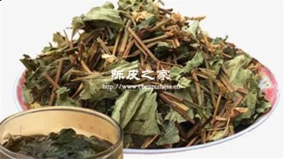 魚腥草能和陳皮蒲公英一起煮水喝嗎