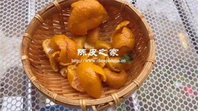 任何橘皮都能做陳皮嗎