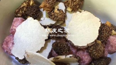 虎乳菌可以和陳皮一起泡嗎