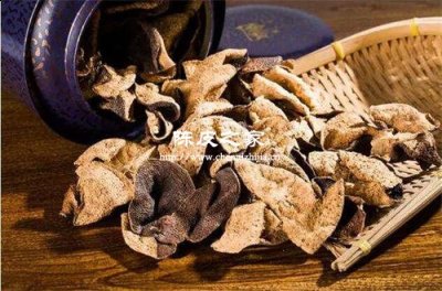 五年陳皮可以放玻璃罐嗎