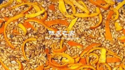 陳皮粳米搭配效果