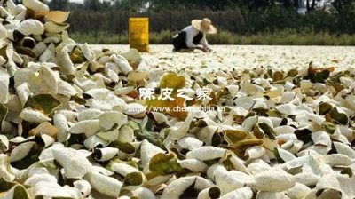 三蒸三曬與生曬的陳皮有區別嗎