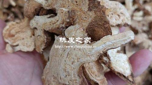 白術茯苓陳皮的功效與作用及食用方法