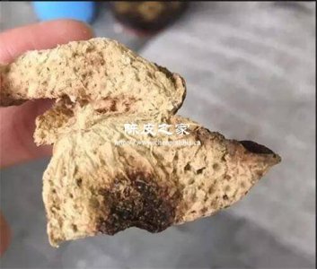 如何判斷陳皮是否出現(xiàn)不良現(xiàn)象