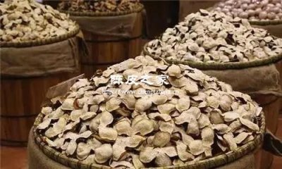 新會陳皮核心產區之一的東甲有什么秘密