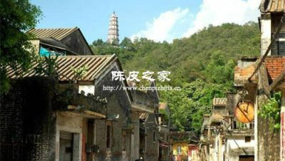 新會陳皮核心產(chǎn)區(qū)之一的茶坑有什么秘密