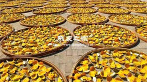 食用自制陳皮會(huì)對(duì)身體造成什么影響