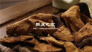 五年陳皮與十年陳皮的區別