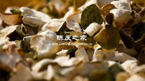 龍井可不可以和陳皮一起泡