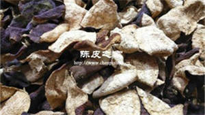 買陳皮是新的好還是陳的好