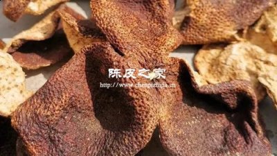 正宗新會30年陳皮多少錢一斤