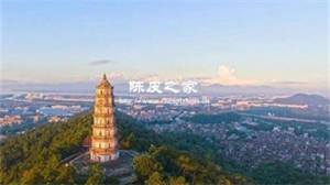 陳皮離開了新會為什么就不正宗了