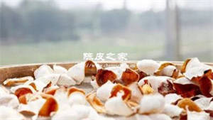 新會陳皮產區之一的梅江都有什么秘密