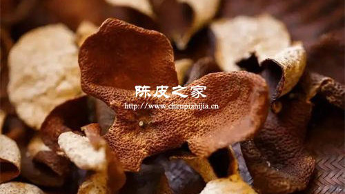 100年的陳皮真的存在嗎