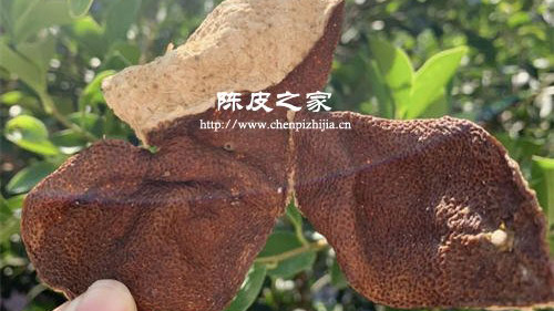 烘干的新會陳皮到底好不好