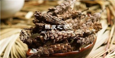 陳皮與夏菇草或紅景天搭配的功效