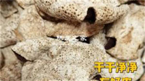 陳皮上的農藥殘留會消失嗎