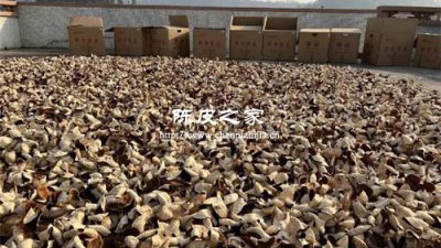 第一年陳皮剛買回來用不用曬