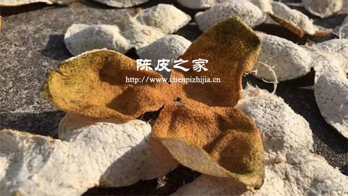 新陳皮與老陳皮的藥用差別