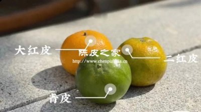 陳皮大紅皮和二紅皮有什么區別