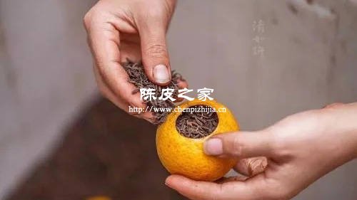 挑選制作陳皮的橘子