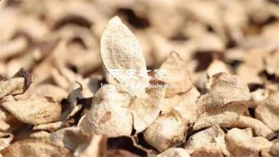 新會陳皮淋雨了怎么辦