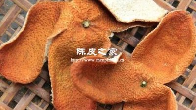 陳皮有保質期嗎