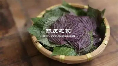 紫蘇艾葉治療咳嗽要加點姜片嗎