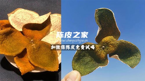 陳皮是青色的好還是紅色的好