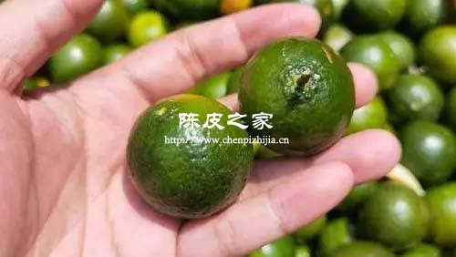 正宗小青柑多少錢一斤